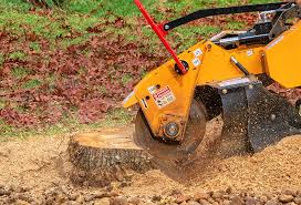 Lawn Edging in Garrettsville, OH